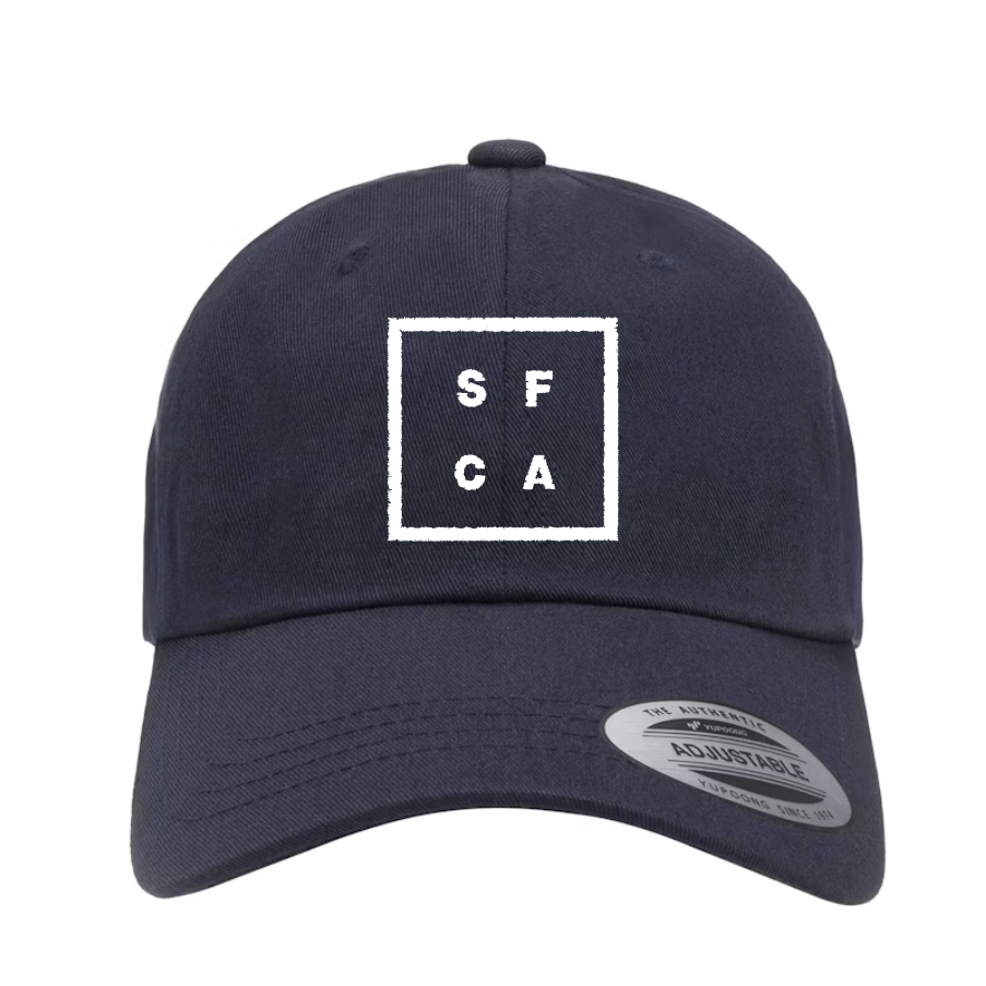 Navy SF CA Dad Hat